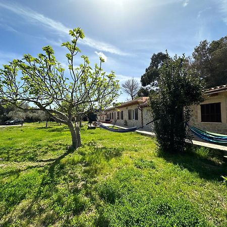 Finca Roberto Villa Can Picafort  Ngoại thất bức ảnh