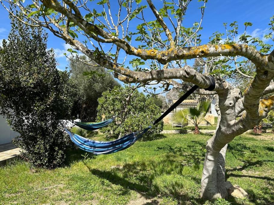Finca Roberto Villa Can Picafort  Ngoại thất bức ảnh