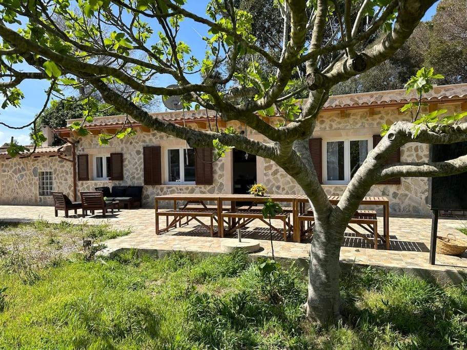 Finca Roberto Villa Can Picafort  Ngoại thất bức ảnh