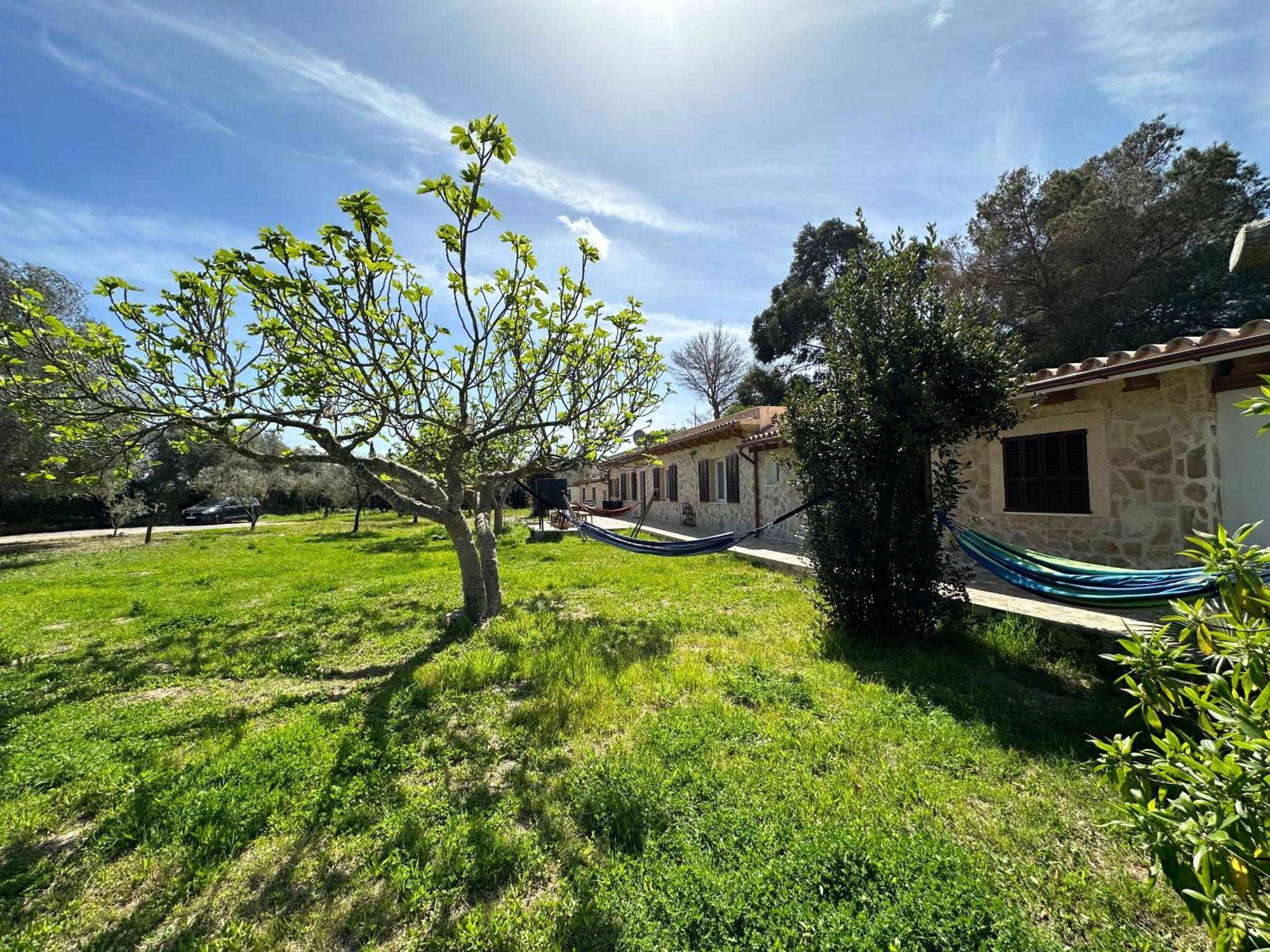 Finca Roberto Villa Can Picafort  Ngoại thất bức ảnh