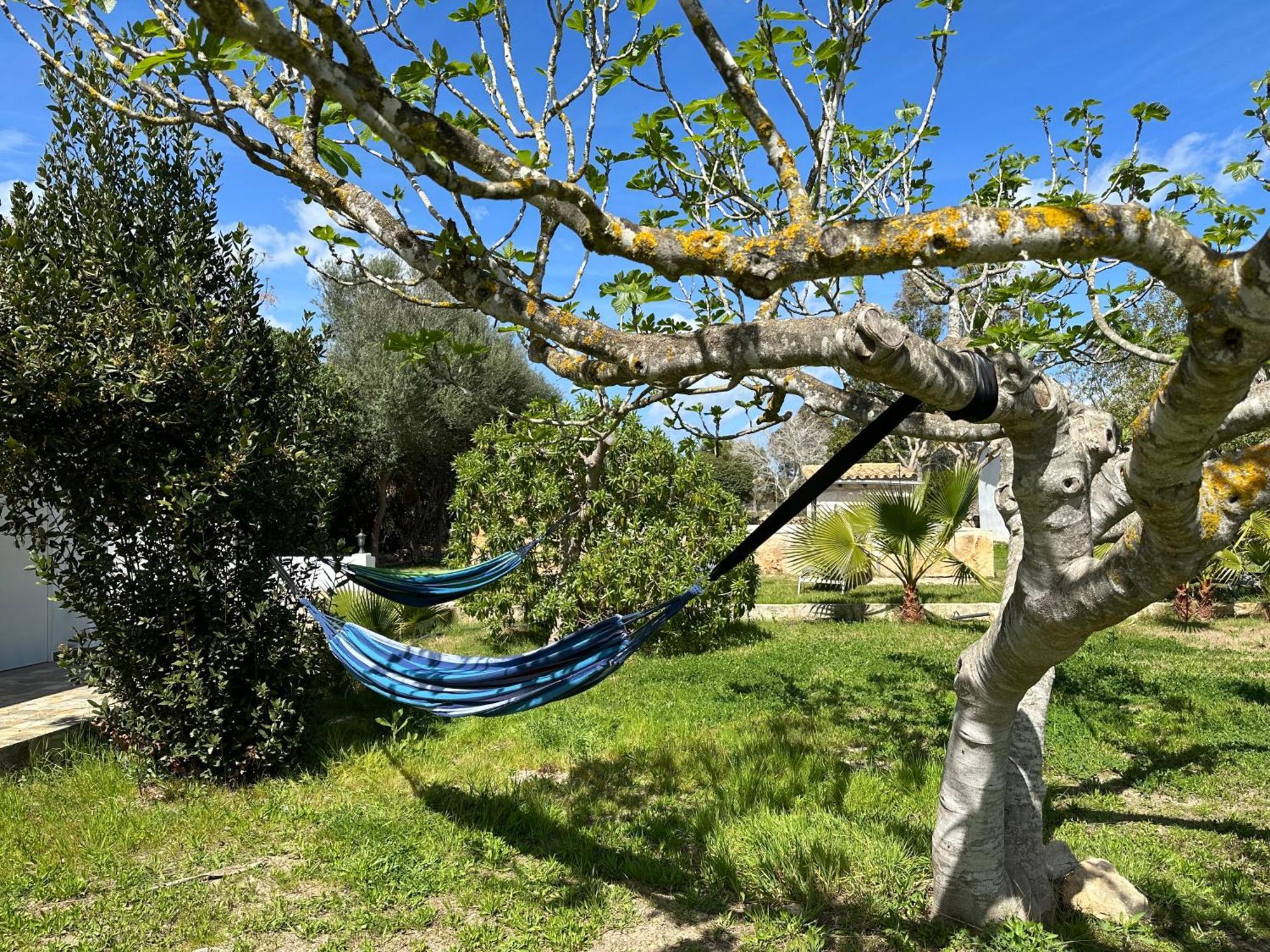 Finca Roberto Villa Can Picafort  Ngoại thất bức ảnh