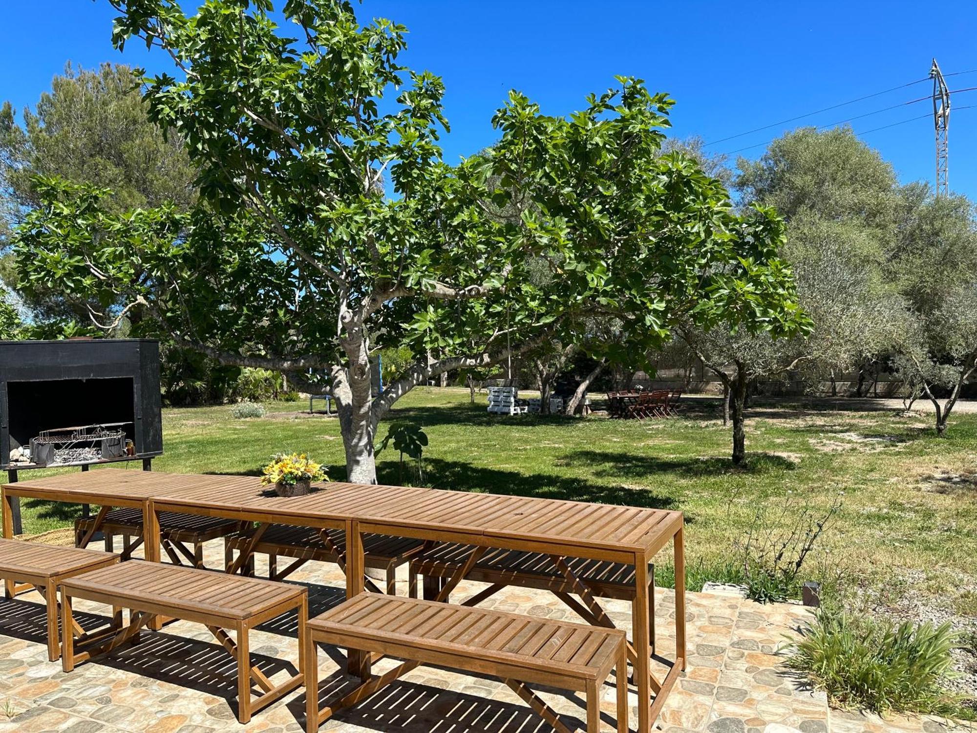 Finca Roberto Villa Can Picafort  Ngoại thất bức ảnh